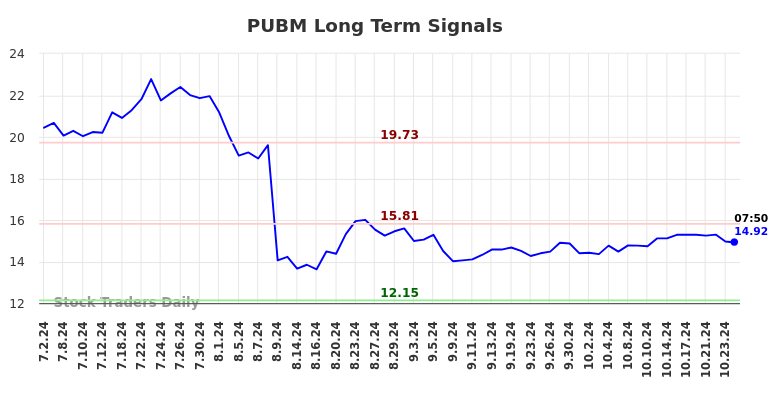 PUBM Long Term Analysis for January 2 2025