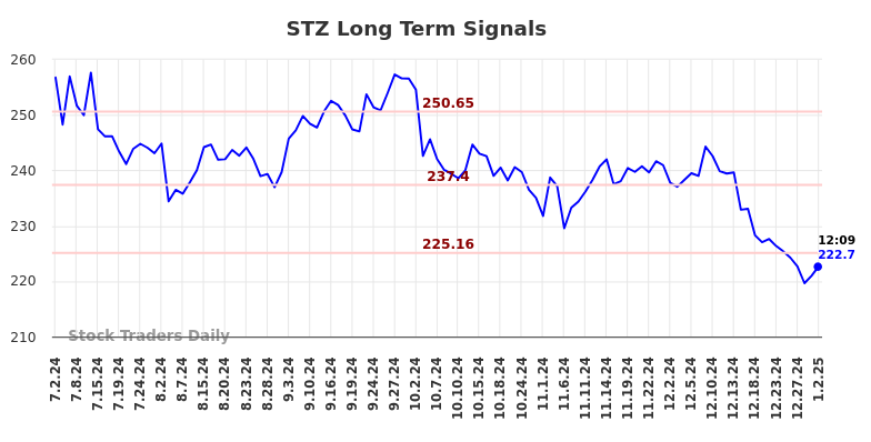 STZ Long Term Analysis for January 2 2025