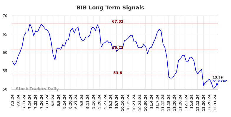 BIB Long Term Analysis for January 3 2025