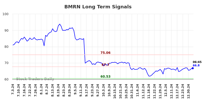 BMRN Long Term Analysis for January 3 2025