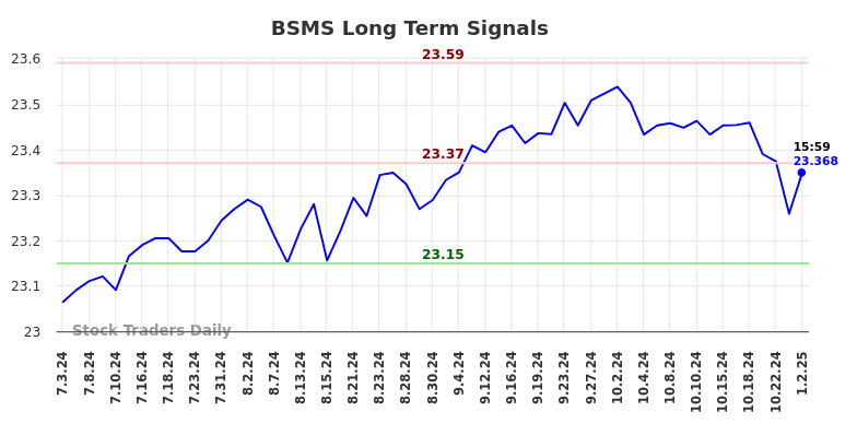 BSMS Long Term Analysis for January 3 2025