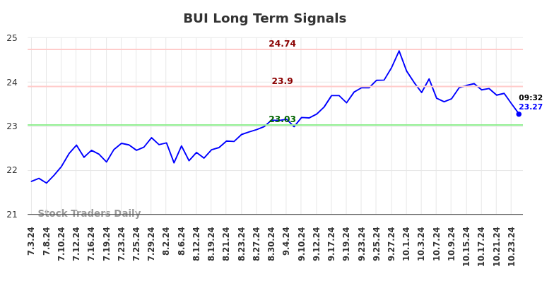 BUI Long Term Analysis for January 3 2025