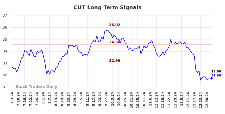 CUT Long Term Analysis for January 3 2025