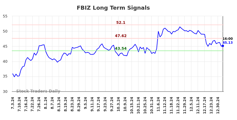 FBIZ Long Term Analysis for January 4 2025