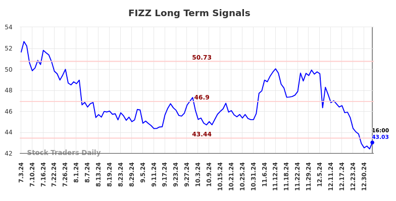 FIZZ Long Term Analysis for January 4 2025