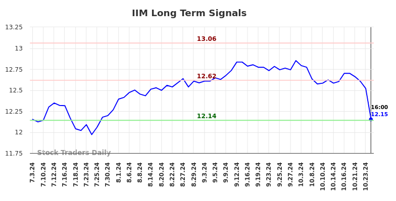 IIM Long Term Analysis for January 5 2025