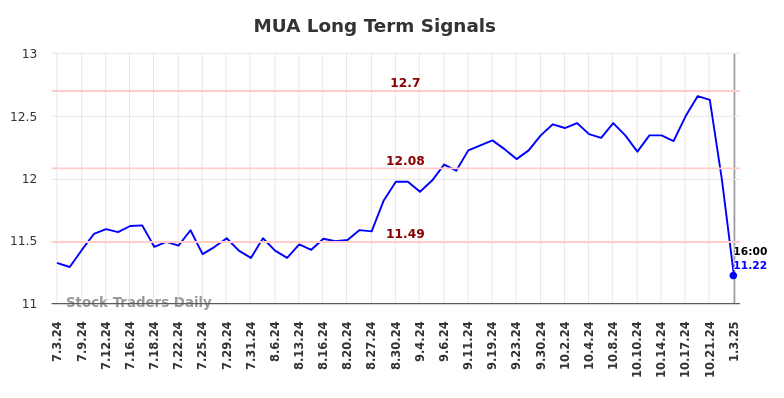 MUA Long Term Analysis for January 6 2025