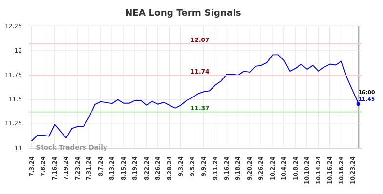 NEA Long Term Analysis for January 6 2025