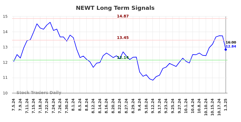 NEWT Long Term Analysis for January 6 2025