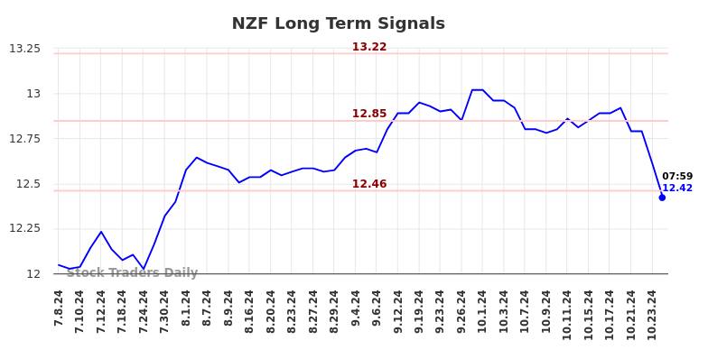 NZF Long Term Analysis for January 6 2025