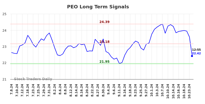 PEO Long Term Analysis for January 6 2025