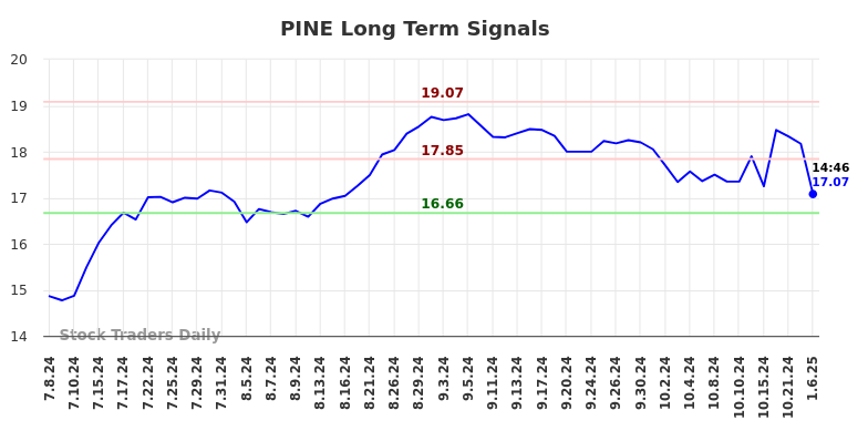 PINE Long Term Analysis for January 6 2025