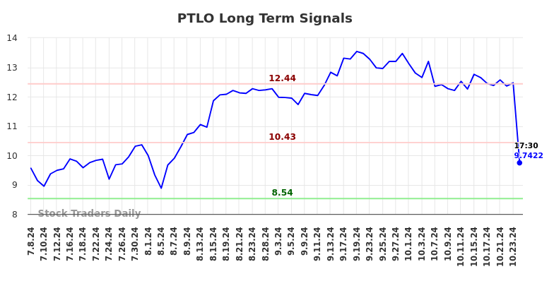 PTLO Long Term Analysis for January 6 2025