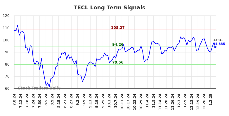 TECL Long Term Analysis for January 7 2025