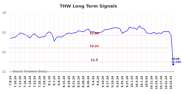 THW Long Term Analysis for January 7 2025
