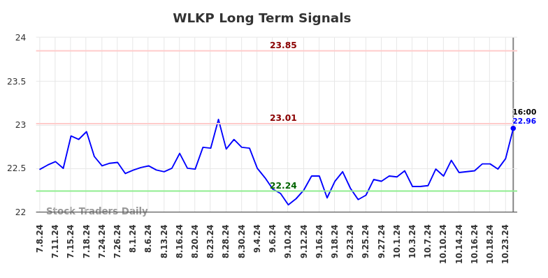 WLKP Long Term Analysis for January 8 2025