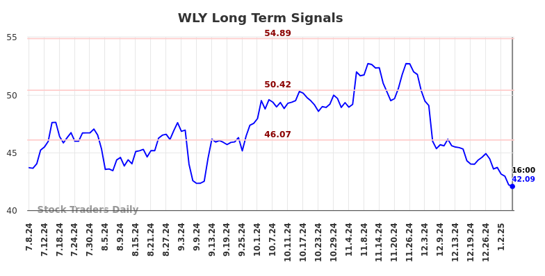 WLY Long Term Analysis for January 8 2025