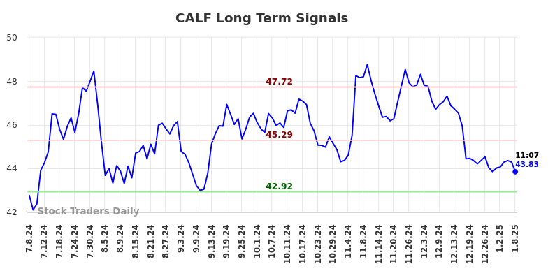 CALF Long Term Analysis for January 8 2025