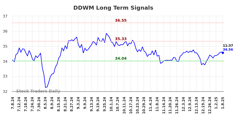 DDWM Long Term Analysis for January 8 2025