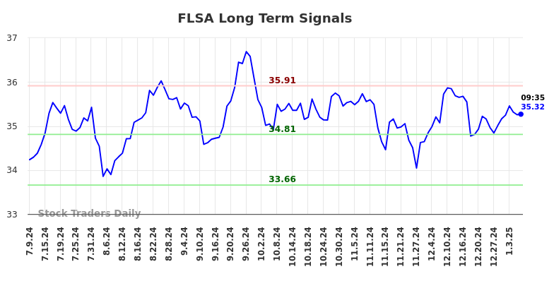 FLSA Long Term Analysis for January 9 2025