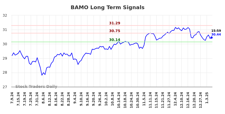 BAMO Long Term Analysis for January 9 2025