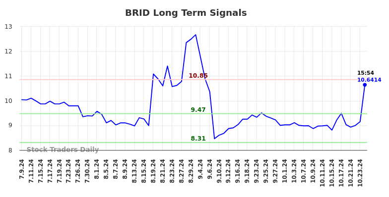 BRID Long Term Analysis for January 9 2025