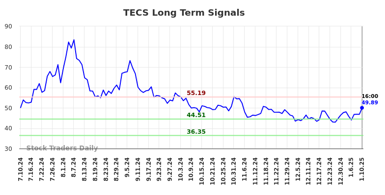 TECS Long Term Analysis for January 11 2025
