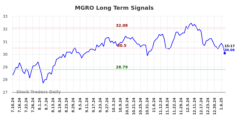 MGRO Long Term Analysis for January 11 2025