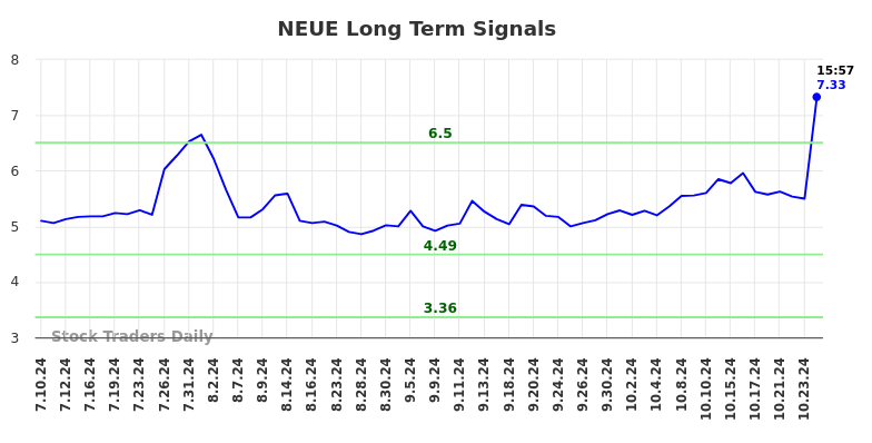 NEUE Long Term Analysis for January 11 2025