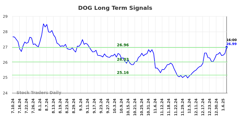 DOG Long Term Analysis for January 13 2025