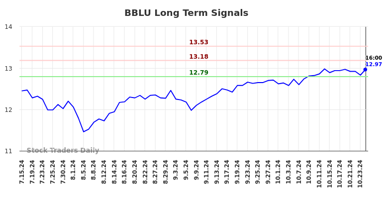 BBLU Long Term Analysis for January 13 2025