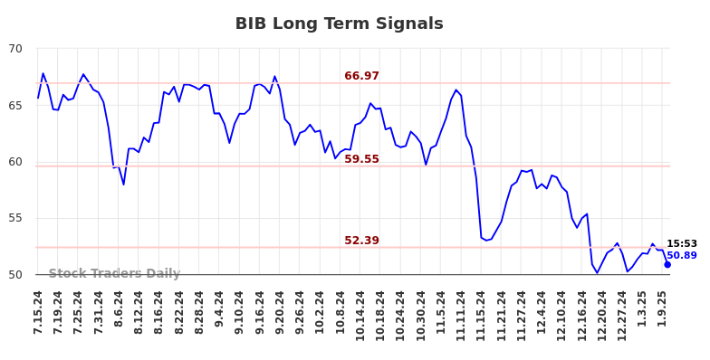 BIB Long Term Analysis for January 13 2025