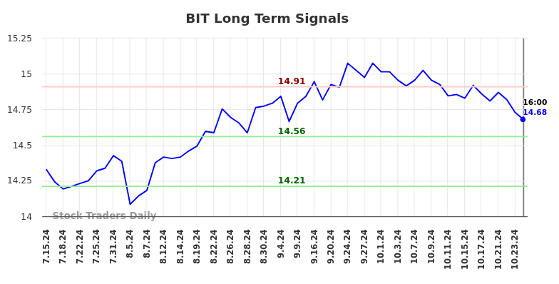 BIT Long Term Analysis for January 13 2025