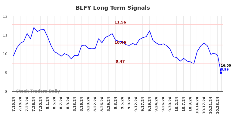 BLFY Long Term Analysis for January 13 2025