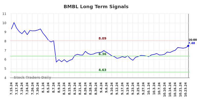 BMBL Long Term Analysis for January 13 2025