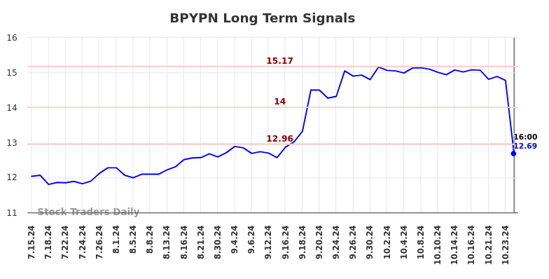 BPYPN Long Term Analysis for January 13 2025