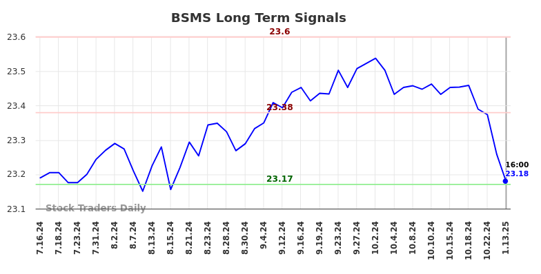 BSMS Long Term Analysis for January 13 2025