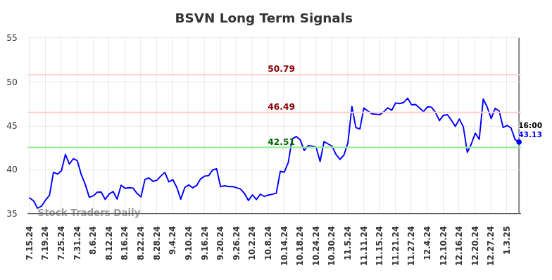 BSVN Long Term Analysis for January 13 2025