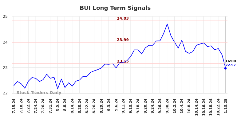 BUI Long Term Analysis for January 13 2025