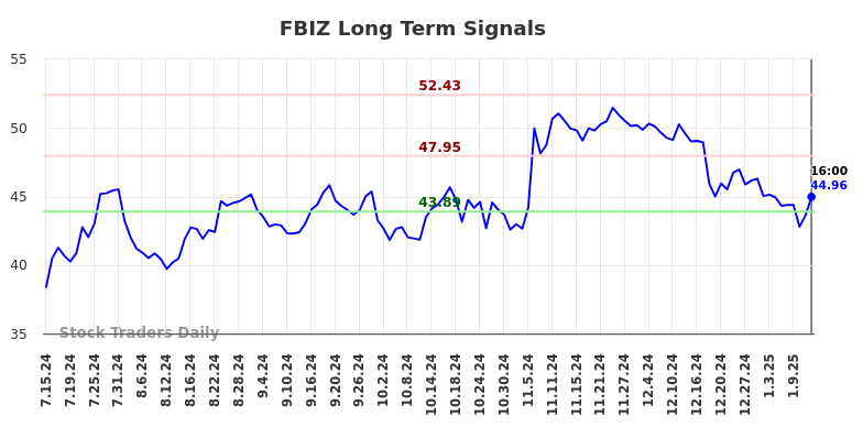 FBIZ Long Term Analysis for January 14 2025