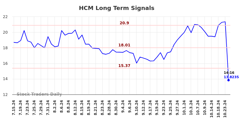 HCM Long Term Analysis for January 15 2025