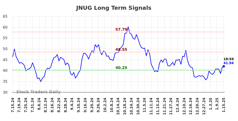 JNUG Long Term Analysis for January 16 2025