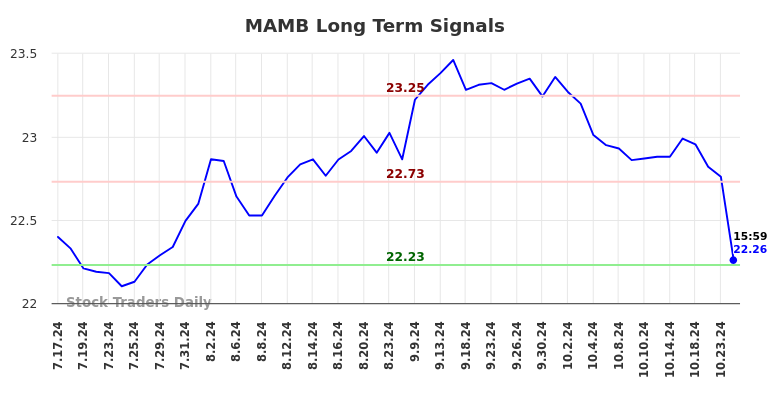 MAMB Long Term Analysis for January 19 2025