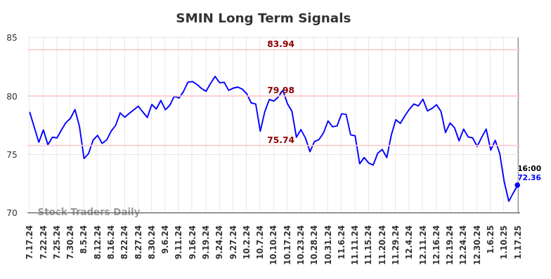 SMIN Long Term Analysis for January 19 2025