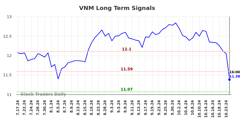 VNM Long Term Analysis for January 19 2025