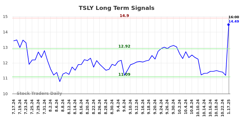 TSLY Long Term Analysis for January 19 2025