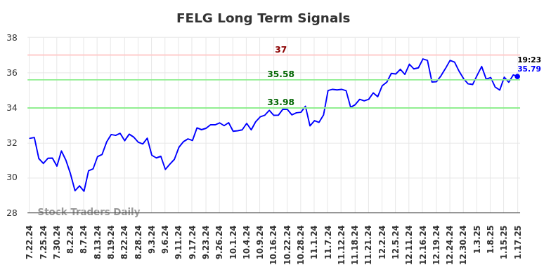 FELG Long Term Analysis for January 20 2025