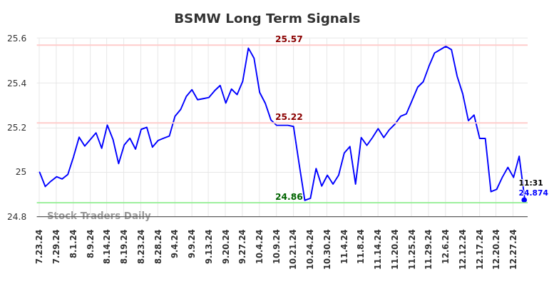 BSMW Long Term Analysis for January 21 2025