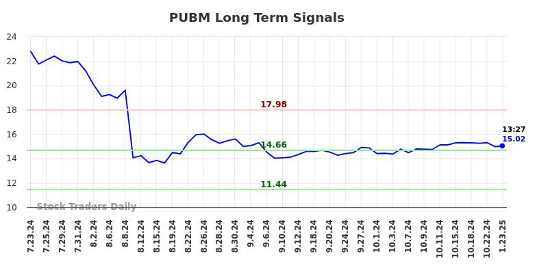 PUBM Long Term Analysis for January 23 2025