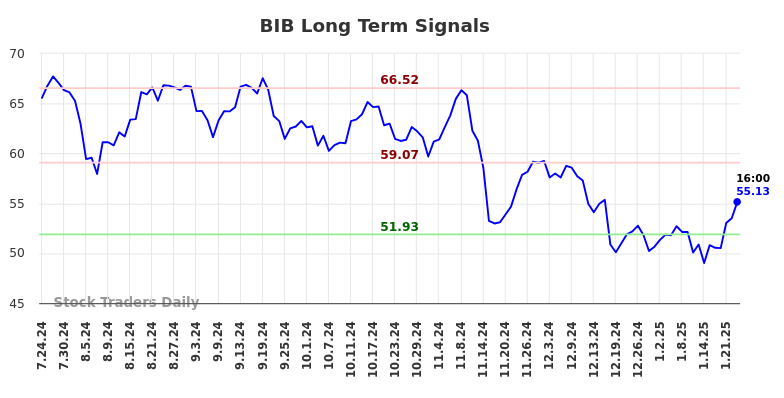 BIB Long Term Analysis for January 24 2025